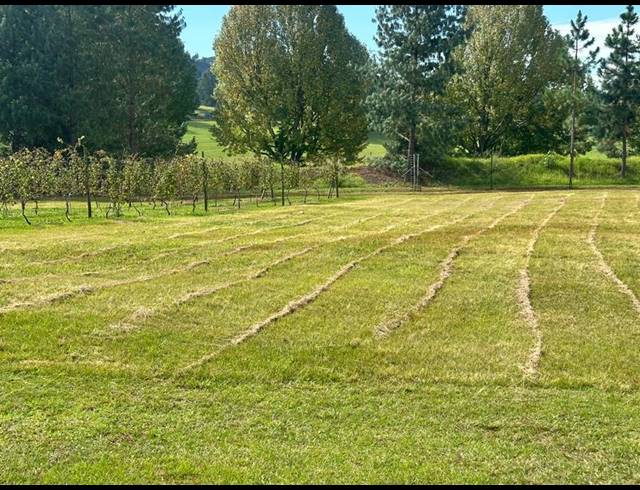 LAND FOR SALE IN DARGLE